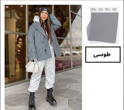 رنگ کلاسیک پاییز 1401، طوسی